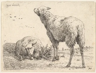 Két bárány, az egyik elöl látható fekvő helyzetben, alatta összehajtott lábakkal..., kb. 1655.