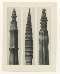 terv tanulmány A művészet archetípusai (sorozat címe)