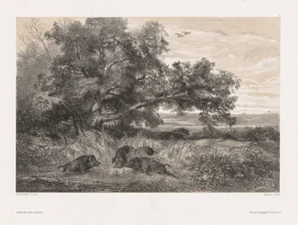 Állatok és táj a természet után: Vaddisznó a tóban, c. 1850.
