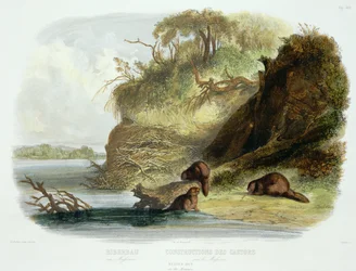 Beaver Hut on the Missouri, "Utazások Észak-Amerika belsejében" 1. kötet 17. táblája, Friedrich Salathe (1793-1858) metszete, 1843 (akvatinta)