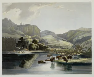 Bölény- és jávorszarvascsordák a felső Missourinál, a „Travels in the Interior of North America” 2. kötetének 47. táblája, Carl Vogel (1816-51) metszete, 1844