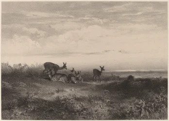 A hátsók.