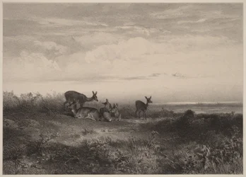 A szarvastehenek