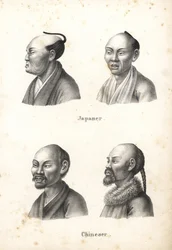 Chonmage-kontyot viselő japán férfiak és szakállas kínai férfiak mellszobrai, egyikük copffal. Karl Joseph Brodtmann litográfiája Heinrich Rudolf Schinz Illusztrált természetrajz az emberekről és állatokról című művéből