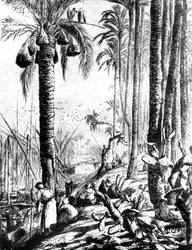 A csatorna szélei, Mahmoudiyeh, 1880