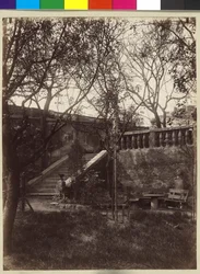 Amerlingi Frederic