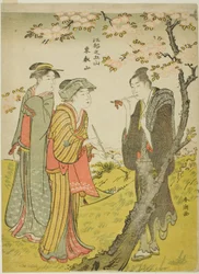 Toei Hill (Toeizan), az "Edo öt dombja (Koto no gozan)" sorozatból