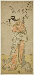 Ichikawa Ebizo (V. Danjuro) színész mint Iwafuji várandós hölgy a Gozen-gakari Sumo Soga című darabban, amelyet a Kawarazaki Színházban adtak elő az első hónapban, 1793 ()