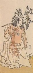 Tee c and r banda Titokban orvos, Asa Man tagja, Daimyo Ah, nem igaz? 1778.
