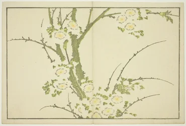 Virágok, Hokusai realista festményeinek képeskönyvéből (Hokusai shashin gafu), 1814 körül (színes fametszet (albumlap))