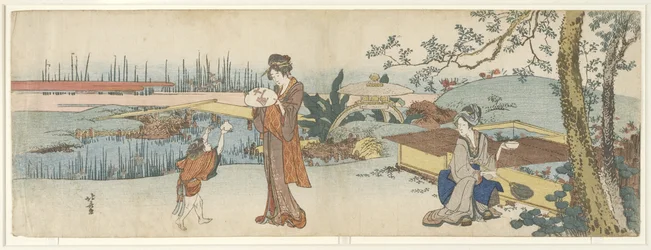 Aranyhal-árus, 1801-1805