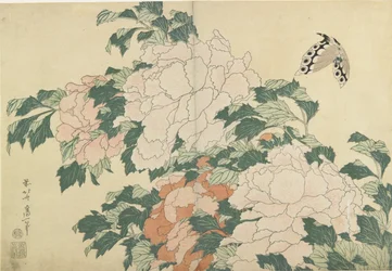 Pünkösdi rózsa és pillangó, c. 1830-1831