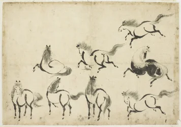 Lótanulmányok, kb. 1815-1849