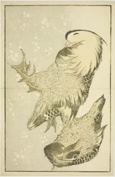 Két vízimadár, Hokusai valósághű festményeinek képeskönyvéből (Hokusai shashin gafu)