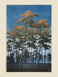 A Hikawa-park Omijában (1930), Kawase Hasui és Watanabe Shozaburo alkotása
