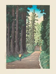 Nikko Gaido (Az út Nikko felé) (1930)