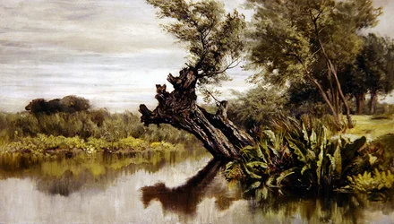 A fűzfa (olaj, vászon)
