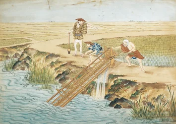 Hollandia, Leiden, Munka rizsföldeken