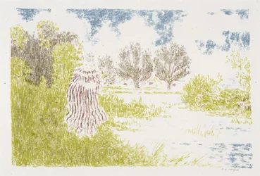 Femme en robe a rayeurs (Nő csíkos ruhában), 1899-1900 (színes litográfia)