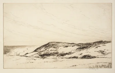Felföld, Cape Cod