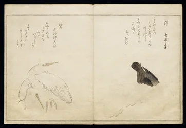 P.332-1946 Vol.1 f.4 Kormorán a jobb oldalon, két havas gém a bal oldalon, a "Madarak humoros dalaiban" című albumból, 1791 (színes fatömbnyomat)