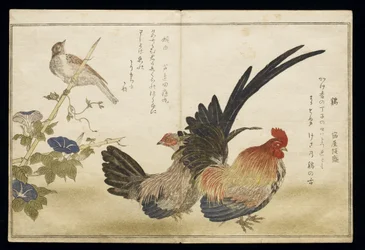 P.332-1946 1. köt. 8. lap Jobbra kakas és tyúk, balra sármány, a „Madárhasonlatok humoros dalokban” („Momo Chidori Kyoka Awase”) című albumból, 1791