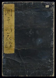 Shiohi no tsuto (Ajándékok az Ebb-dagályból), Shell Book néven ismert, 1789 (színes fatömbnyomat)
