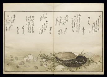 Shiohi no tsuto (Ajándékok az Ebb-dagályból), Shell Book néven ismert, 1789 (színes fatömbnyomat)