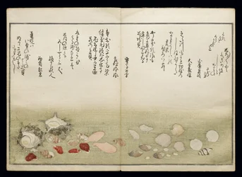 Shiohi no tsuto (Ajándékok az Ebb-dagályból), Shell Book néven ismert, 1789 (színes fatömbnyomat)