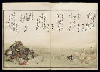 Shiohi no tsuto (Ajándékok az Ebb-dagályból), Shell Book néven ismert, 1789 (színes fatömbnyomat)