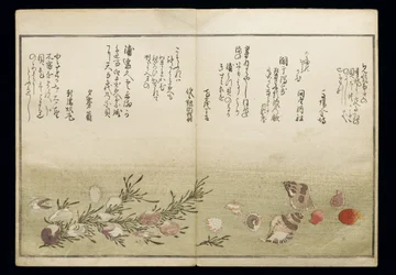 Shiohi no tsuto (Ajándékok az Ebb-dagályból), Shell Book néven ismert, 1789 (színes fatömbnyomat)