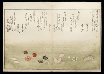 Shiohi no tsuto (Ajándékok az Ebb-dagályból), Shell Book néven ismert, 1789 (színes fatömbnyomat)