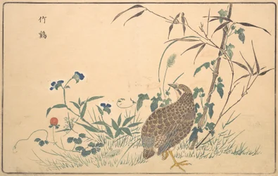 Z nyerőgép, 1789.