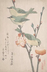 Japán fehér szemek egy barackfa ágán,..., kb. 1805-10.