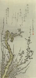 Öreg szilvafa, 1796.