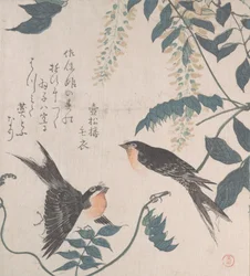 Fecskék és Wisteria, 19. század.