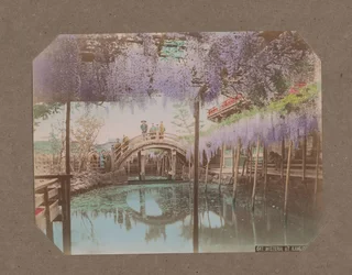 Emberek egy hídon, az előtérben virágzó wisteria, Kameido, Tokió, Japán