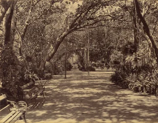 Sukh-Vilas palota kertje, 1880-90.