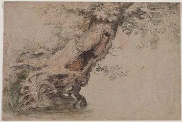 Hollow Tree, Roelant Savery nyomán