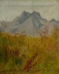 Lomnici-csúcs