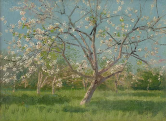 Virágzó gyümölcsös fák, 1900-10