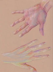 Hands #2, 2025 (színes ceruza, tónusos papír)