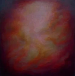 Nebula Rose, 2023