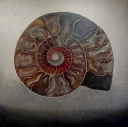 Silver Ammonite, 2024 (olaj, vászon)