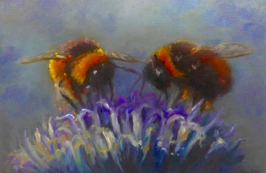 Két méh, 2019