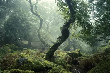 Awakening II, 2024 (fotó)
