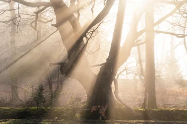 Beautiful Beams, 2025 (fotó)