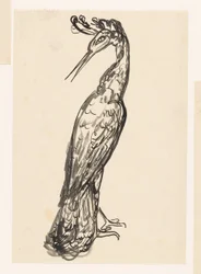 Heron hátrafordított fejjel