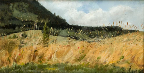 Búzatábla