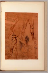 Egy oldal a "Quaderni d" Anatomy-ból, I-VI, 1911-16